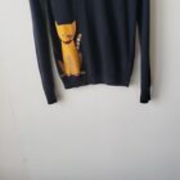 J. Crew Super Cute Cat intarsia Sweater Sz. S. - Picture 2 of 5